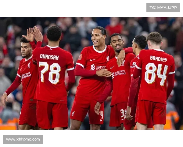 从战术角色到合同分歧解析维纳尔杜姆离开利物浦的深层原因