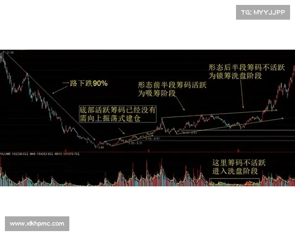 安联赞助商的五大关键事实解析及其背后影响